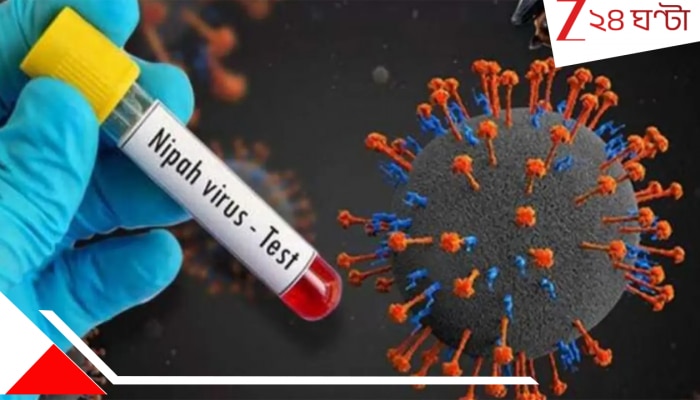 Niph Virus: ছড়াচ্ছে নিপা ভাইরাস, ফের কি ঘরবন্দি দশা, জানুন এই রোগের উপসর্গ
