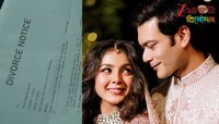 ৩ মাসেই বিয়ে ভাঙছে অভিষেক-শার্লির? ডিভোর্স নোটিসের ঝলক দেখিয়ে অভিনেত্রী লিখলেন...