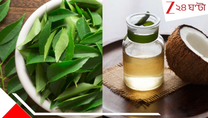 Curry Leaves and Coconut Oil Combo: চুলের সমস্যায় ভুগছেন? এই টোটকায় মিলবে সমাধান...