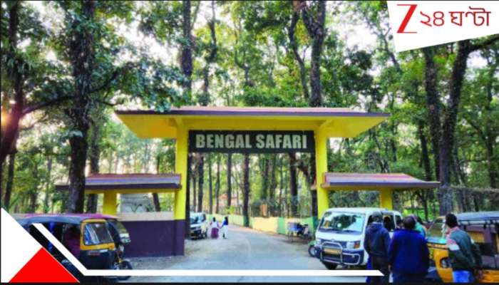 Siliguri Bengal Safari Park: খুশির খবর! শিলিগুড়ি বেঙ্গল সাফারি পার্কে তনয়ার ভরা সংসার.. পুজোর আগেই হইচই...