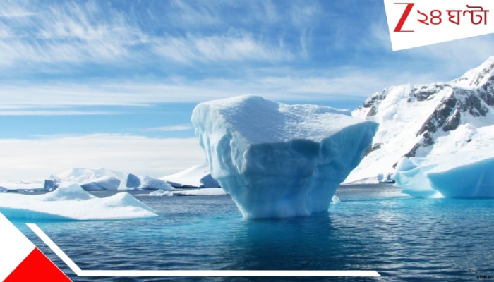 Antarctica Glacier News: ৩৪০০০ বছরের পুরনো বরফের নীচে সমুদ্র শূকর, সমুদ্র মাকড়সা এবং ভয়ংকর অদ্ভুত সব পতঙ্গ...
