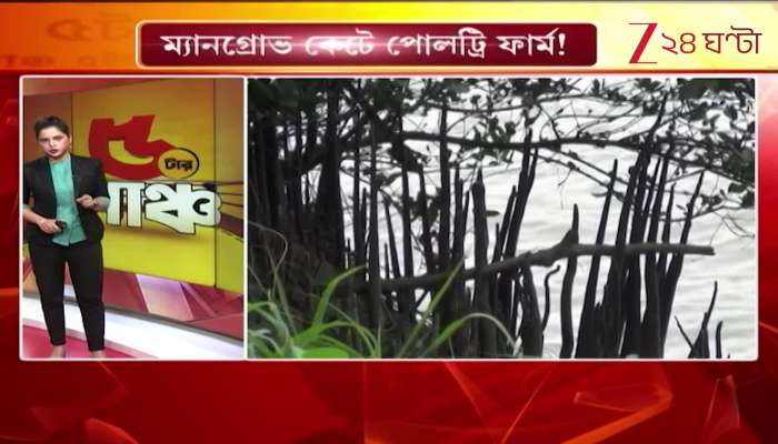 Green theft again in Sundarbans mangroves cut down for poultry farm