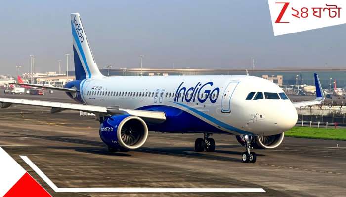 IndiGo Flight: ল্যান্ড করার আগেই ভয়ংকর বিপদ! ১৭৩ যাত্রী নিয়ে আকাশেই...