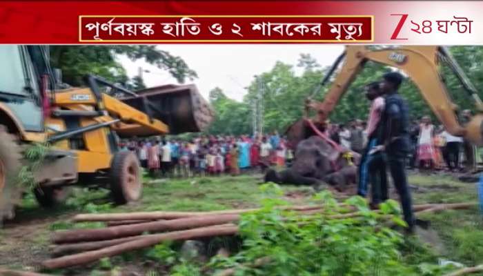 3 Elephants Killed by Train Collision Forest Department Slams Railways