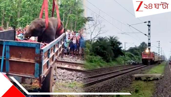 Elephant Death: দুই শাবক-সহ তিন হাতির মৃত্যু! দ্রুতগামী ট্রেনের ধাক্কায় ছিটকে পড়ল ১০০ মিটার দূরে...