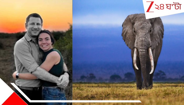 South Africa Billionaire CEO death by Elephant: কোটিপতি CEO-কে আফ্রিকার ক্যাম্পে পিষে মেরে দিল শখে পোষা হাতিই...