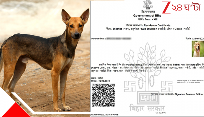 Dog Gets Redential Certificate: তাজ্জব! বাবার নাম কুত্তাবাবু, মা কুতিয়া দেবী, কুকুরের নামে গুরুত্বপূর্ণ সার্টিফিকেট...