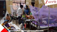 ভিজে আবহাওয়ায় দাপট বাড়ছে ডেঙ্গির, রাজ্যের ৬ জেলায় আক্রান্ত প্রায় ...