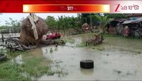 Teesta Flood | তিস্তার জল বেড়ে প্লাবিত মালবাজার | Zee 24 Ghanta 