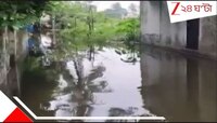 মর্মান্তিক! জমা জলের বলি একরত্তি, ঘরের ভিতরেই বিছানা থেকে পড়ে....