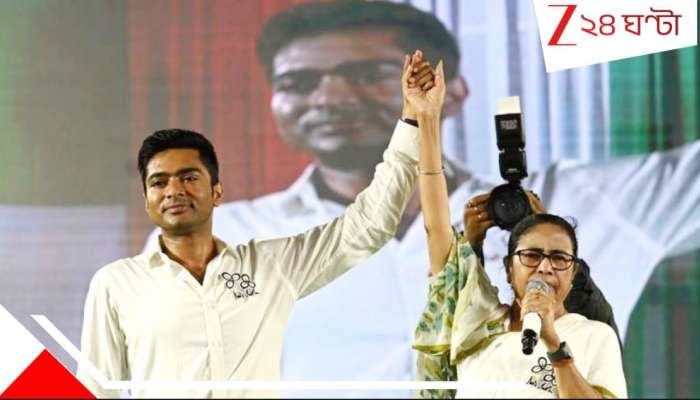 Abhishek Banerjee TMC Loksabha leader: শৃঙ্খলারক্ষায় কড়া বার্তা, দিল্লিতে বড় পদক্ষেপ মমতার! লোকসভায় এবার তৃণমূলের দলনেতা অভিষেক...