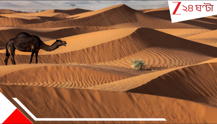 Saudi Arabia Imports Sand: নিজের দেশের অনন্ত বালি ব্যবহার করতে পারে না আরব! আমদানি করে রাশি রাশি বালি...আশ্চর্য!