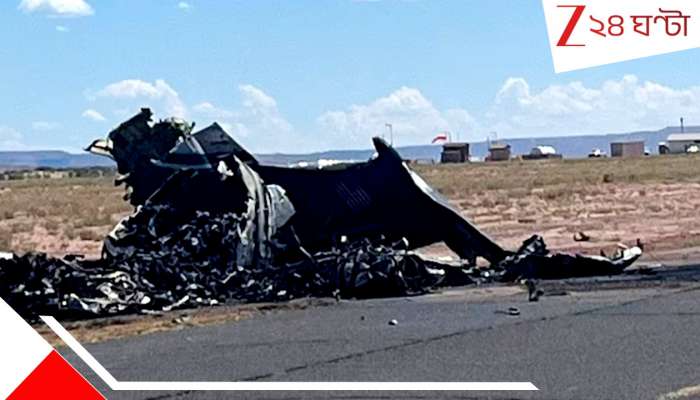 Plane Crash: ল্যান্ড করার আগেই ভেঙে পড়ল বিমান! ভয়াবহ আগুনে পুড়ে ছাই, মৃ*ত...