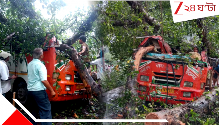 Barabanki Bus Accident: প্রবল বৃষ্টি! যাত্রীবাহী বাসের উপর ভেঙে পড়ল বিশাল গাছ, ওখানেই মৃ*ত ৬...