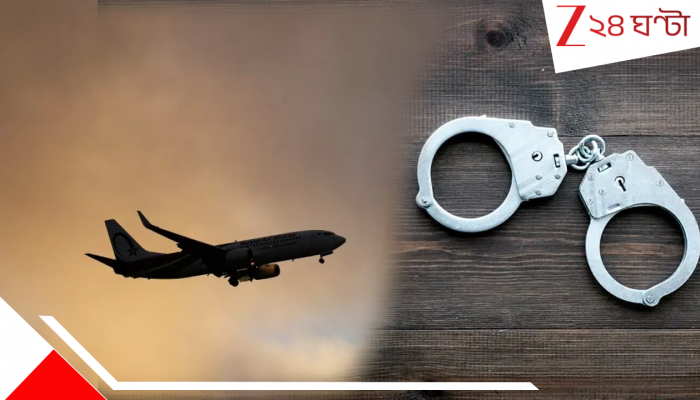 UK Deport Now Appeal Later Rule: দোষী সাব্যস্ত হলে 'আগে প্রত্যর্পণ পরে আপিল', ব্রিটিশ আইনের গেরোর বিপাকে ভারতীয়রা
