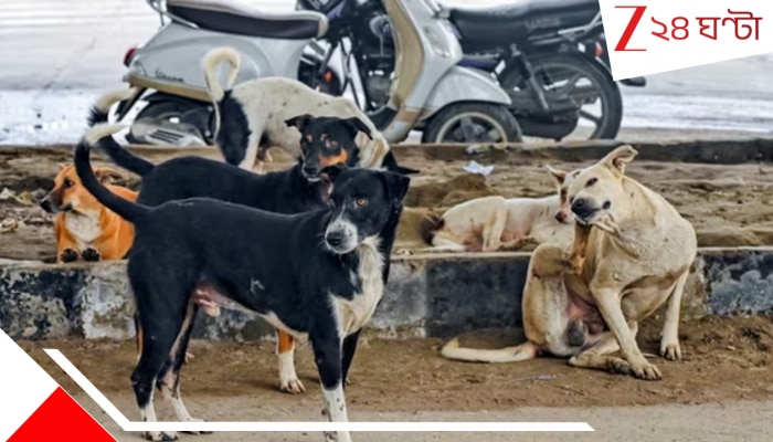 Supreme Court On Stray Dogs: কুকুরমুক্ত করতে হবে শহর! রায় দিয়েও ফের পর্যালোচনায় সুপ্রিমকোর্টের ৩ বিচারপতির বেঞ্চ, বৃহস্পতিবারই তবে কি...