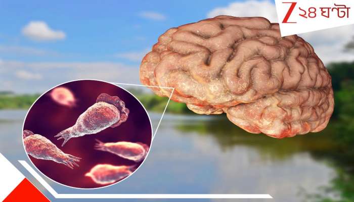 Brain eating Amoeba: মাথার ঘিলু খেয়ে নিঃশেষ করে দিচ্ছে ভয়ংকর অ্যামিবা! মগজ খেকো দানবে কাঁপছে এই রাজ্য...