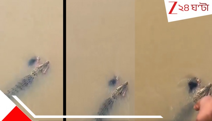 Odisha Shocker: Video: ভয়ংকর! জলে নামতেই সবার চোখের সামনে গৃহবধূকে টেনে নিয়ে গেল কুমির…