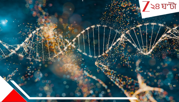 World`s Fast and Fastest Genetic Search Engine: জেনেটিক ডেটাবেসে দ্রুততম অনুসন্ধানের নতুন দিগন্ত! World`s Fast and Fastest Genetic Search Engine: জেনেটিক ডেটাবেসে দ্রুততম অনুসন্ধানের নতুন দিগন্ত!