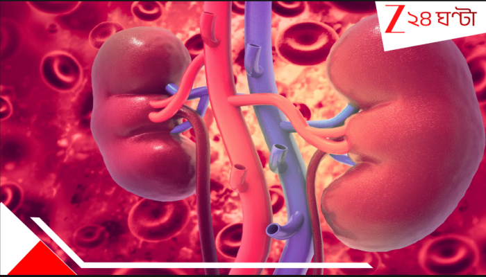 Universal kidney: বিশ্বে এই প্রথম! ব্লাড গ্রুপ না মিললেও দেওয়া-নেওয়া যাবে কিডনি! ইউনিভার্সাল কিডনিতে নবজীবনলাভ স্রেফ সময়ের অপেক্ষা… Universal kidney: বিশ্বে এই প্রথম! ব্লাড গ্রুপ না মিললেও দেওয়া-নেওয়া যাবে কিডনি! ইউনিভার্সাল কিডনিতে নবজীবনলাভ স্রেফ সময়ের অপেক্ষা…
