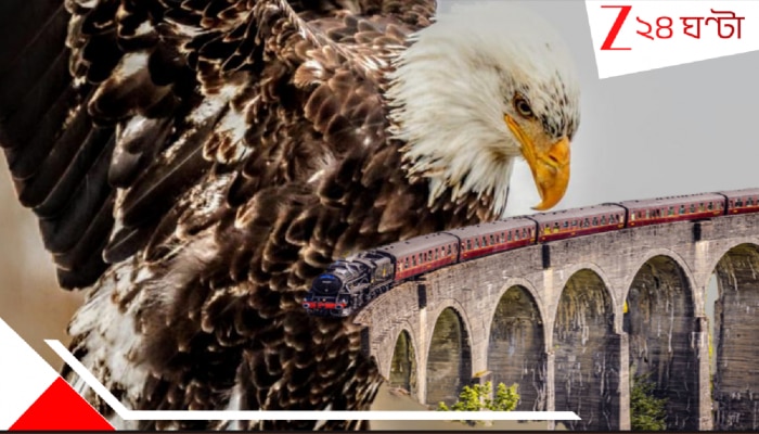 Eagle Hits Moving Train: ভয়ংকর গতিতে ছুটছিল এক্সপ্রেস, ভয়াল গতিতে উড়ে এল সুবিশাল ঈগল! তারপর ভাঙল কাচ, ছড়াল রক্ত, হাড়হিম দুর্ঘটনা...
