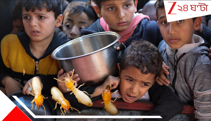 Children Eating Live Termites: অসহ্য খিদের জ্বালায় জ্যান্ত উইপোকা কচমচ করে চিবিয়ে খাচ্ছে দুধের শিশুরা! থালায় ঘুরে বেড়াচ্ছে…