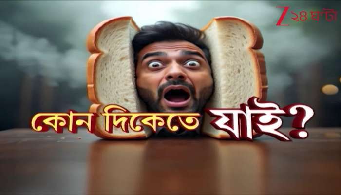 No mercy from the CEO if there is any mistake in SIR BLOs wont be spared either