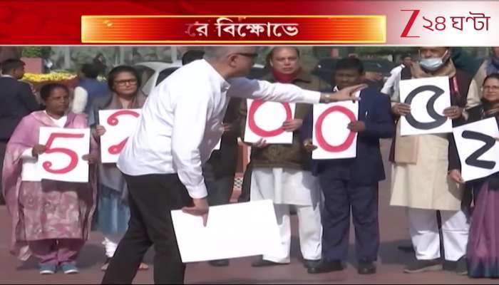 TMC Parliament Agitation TMC Protests in Parliament Premises Over Allegations of Central Deprivation