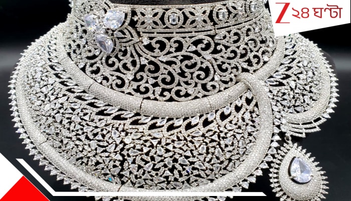 Silver Price touched record: রেকর্ড গড়ে রুপো যেন রেসের ঘোড়া, সোনাকে বলে বলে গোল দিচ্ছে সেকেন্ড বয়! কেনার শেষ সুযোগ...