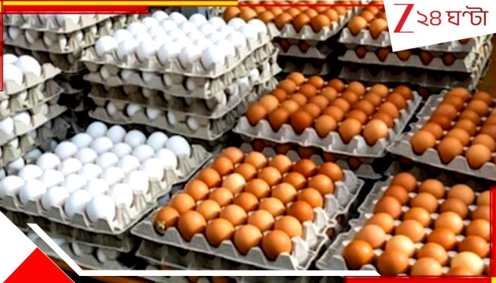 Antibiotics in Eggs: জিন বদলে দিতে পারে বাজার থেকে কেনা ডিম! মুরগিকে খাওয়ানো নিষিদ্ধ অ্যান্টিবায়োটিকে মরণের ডাক...