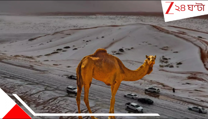 Saudi Arabia Snowfall: বরফচাদরে ঢাকা সৌদি, বিরল তুষারপাত মরুদেশ আরবে! অবিশ্বাস্য একটা আবহাওয়া…