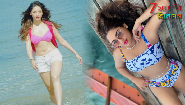 Dhurandhar: তামান্না নয়, আমি ! ‘ধুরন্ধর’-এর গান নিয়ে মুখ খুললেন কৃষল…