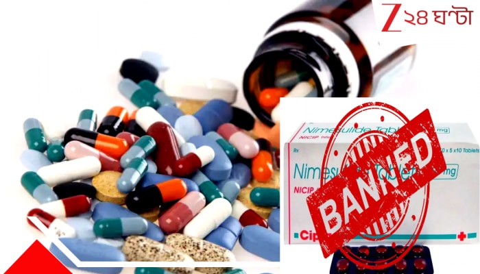 Govt Banns Nimesulide Pain Killer: বড় খবর! ভয়ংকর পার্শ্বপ্রতিক্রিয়ায় সারা দেশে নিষিদ্ধ হল পেইনকিলার 'নিমেলুসাইড...'