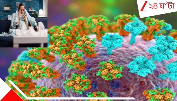 New K variant flu outbreak: ফিরছে কোভিড? নতুন ভাইরাসের দাপটে ভিড় বাড়ছে হাসপাতালে! ভয়ংকর সব উপসর্গে উদ্বেগ বিশ্বজুড়ে...