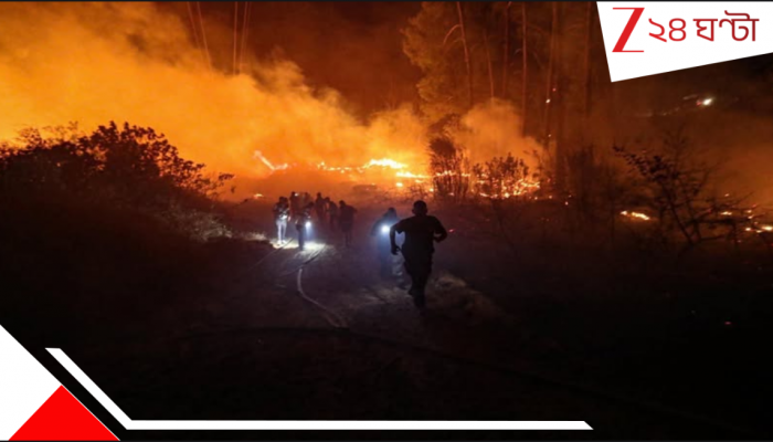 South Africa Wildfires: বন্য আগুনের দাউ দাউ লেলিহান শিখা! ট্রেন লাইনে আগুন, জ্বলছে জাতীয়সড়ক! ভয়াবহ পরিস্থিতি…