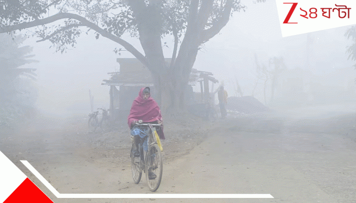 School Holidays January 2026: শৈত্যপ্রবাহে ১৩ জানুয়ারি পর্যন্ত বন্ধ স্কুল! প্রয়োজনে পরে বাড়তে পারে ছুটির মেয়াদ