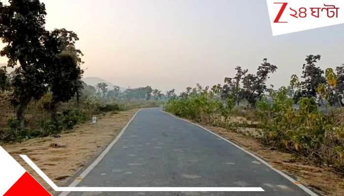 Snowfall in Purulia: যা হওয়ার ছিল না তাই হল, AI কারিকুরি নয়! পুরুলিয়ায় সত্যি পড়ল তুষার... দেখে নিন...