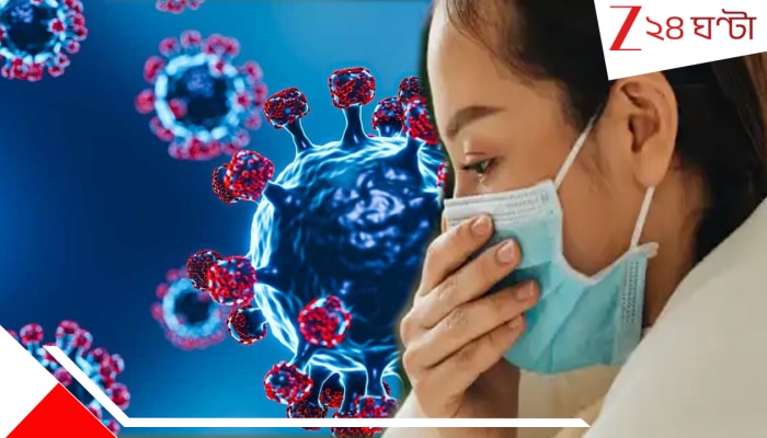 Nipah Virus: আশঙ্কাই সত্যি! রাজ্যে চিকিত্‍সাধীন নার্সের শরীরে মারাত্মক নিপা, জানিয়ে দিল পুণে... কাদের সংক্রমণের চান্স বেশি...