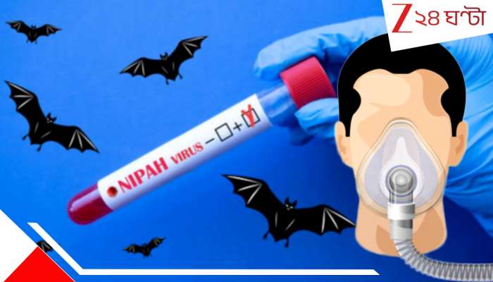 Nipah Virus Outbreak: মস্তিষ্কে শক থেকে শুরু করে... কোন ৫ ভয়ংকর কারণে নিপা বিপজ্জনক মারণ ভাইরাস? একমাত্র চিকিৎসা কী?