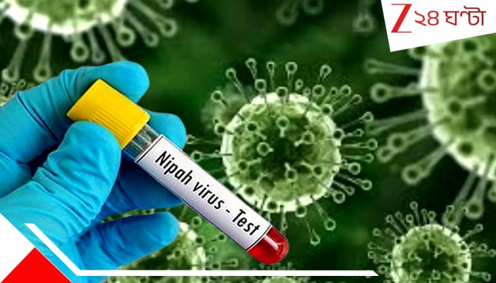 Nipah Virus: নদীয়ায় বেড়াতে গিয়ে একটি লজে কয়েকদিন ছিলেন ওই নার্স, সেখানেই...