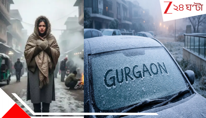 Gurugram Coldest Winter in 90 years: তাপমাত্রা -০.৪°, গুঁড়ো তুষারে ঢেকে গিয়েছে সারা শহর! ৯০ বছরের রেকর্ড ভেঙে গুরুগ্রাম এখন আলাস্কা...