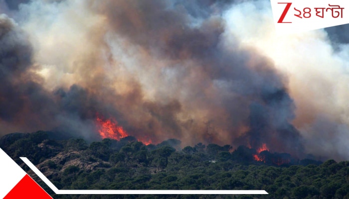 Wildfire: জ্বলছে দেশের দাক্ষিণাত্য! ভয়াবহ আগুনে হাজার হাজার মানুষ ঘরছাড়া, জারি জরুরি অবস্থা, জীবন্ত দগ্ধ...
