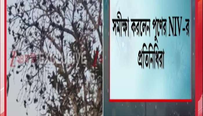  ‘Bat Pouch’ Survey Conducted Amid Nipah Fears