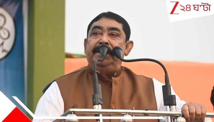 Anubrata Mandal: 'মনে করেছ ভোটারদের বাদ দিয়ে ভোটে জিতে যাবে! আর আমরা কি....', SIR নিয়ে  বিস্ফোরক অনুব্রত