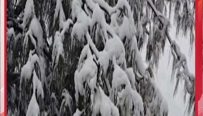 Snowfall in Shimla, Manali, and Several Other Places 