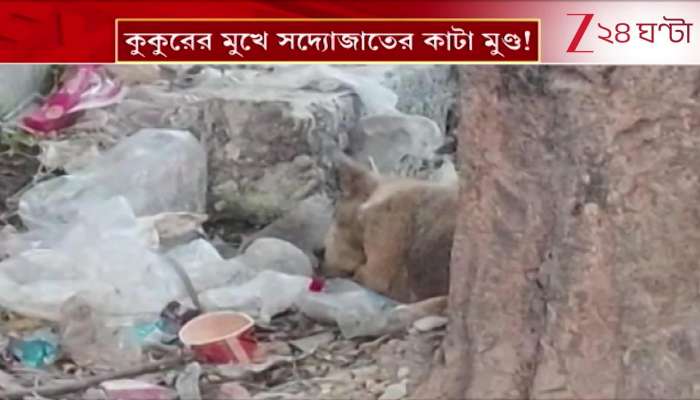 Newborns Severed Head Attacked by Dog in Jalpaiguri 