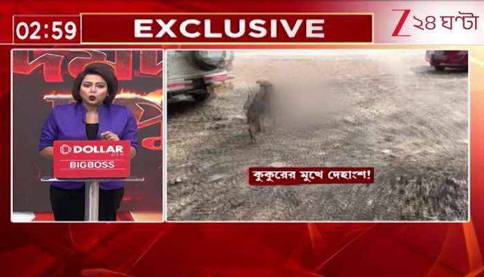 Body Parts Found in Dog’s Mouth Inside Hospital