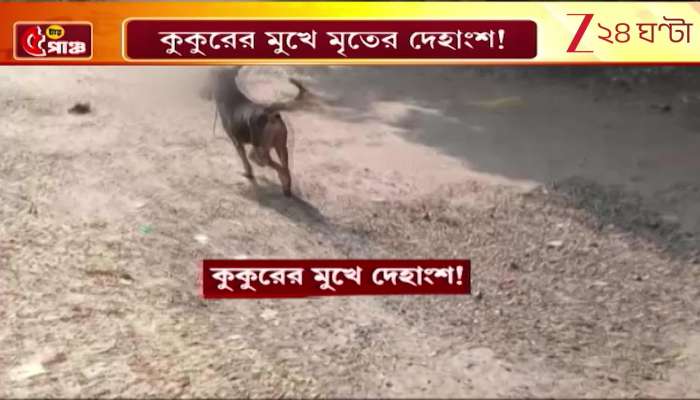 Body Parts Found in a Dog’s Mouth Inside Hospital Premises