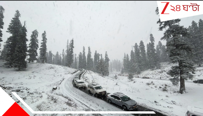 Heavy Snowfall: ৬৮৫টি রাস্তা বন্ধ! জল নেই! বিদ্যুৎ নেই, অন্ধকারে মাইলের পর মাইল জ্যাম! মারণ বরফে ৪৮০০… Heavy Snowfall: ৬৮৫টি রাস্তা বন্ধ! জল নেই! বিদ্যুৎ নেই, অন্ধকারে মাইলের পর মাইল জ্যাম! মারণ বরফে ৪৮০০…