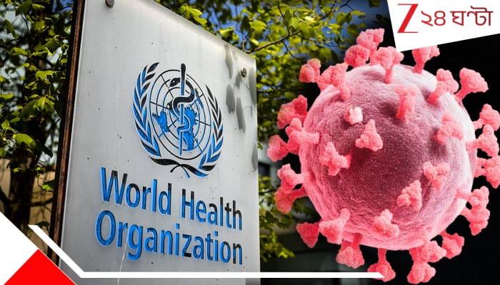 Nipah Virus: ভারতে নিপা ভাইরাসের সংক্রমণে কি বিপদ বাড়ছে অন্যান্য দেশেরও! কী বলল WHO